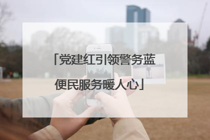 党建红引领警务蓝 便民服务暖人心